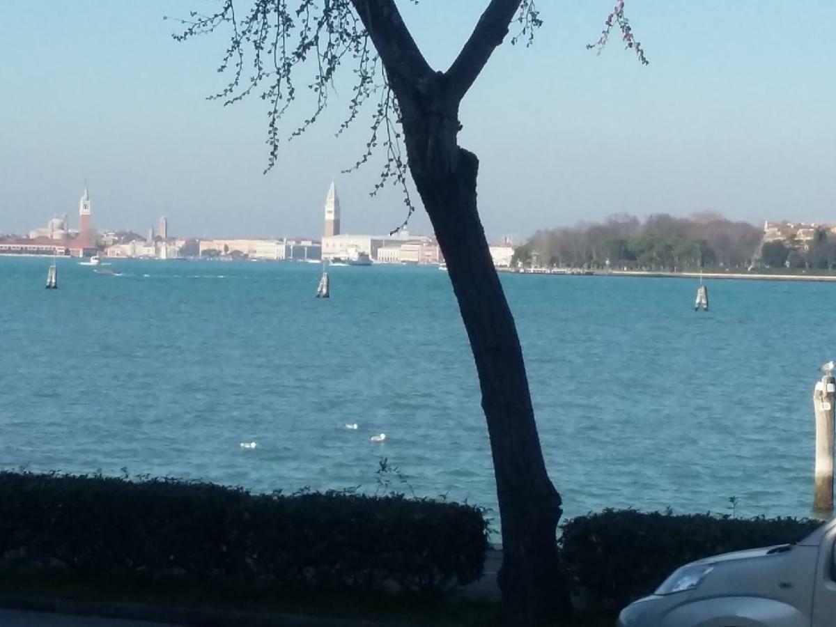 Bellavista Sanmarco Venice And Lagoon View Lido di Venezia Екстер'єр фото