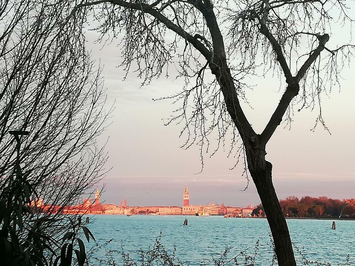 Bellavista Sanmarco Venice And Lagoon View Lido di Venezia Екстер'єр фото